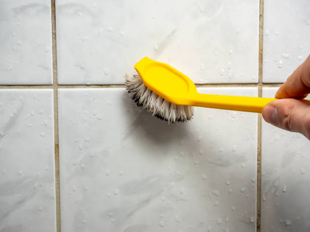 Certified Mold Removal in Owosso, MI