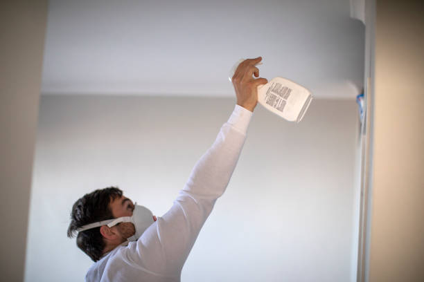 Professional Mold Removal in Owosso, MI