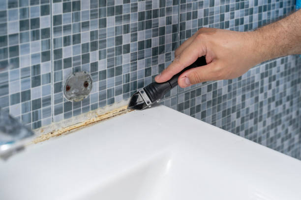 Best Mold Testing  in Owosso, MI