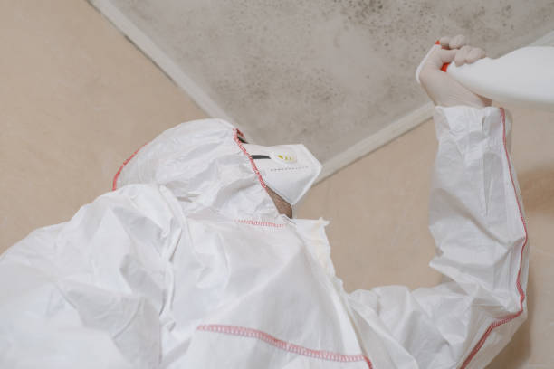 Best Water Damage Restoration  in Owosso, MI