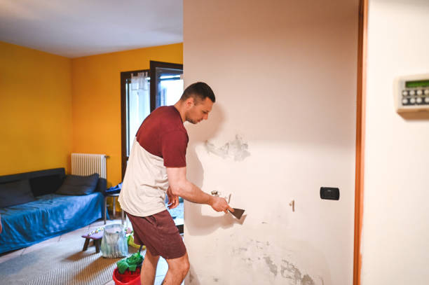 Best Professional Mold Removal  in Owosso, MI