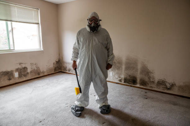 Best Commercial Mold Removal  in Owosso, MI